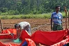 La nuova pompa permette di irrigare i campi di legumi (csi)